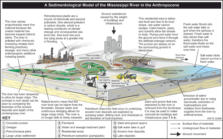 The Mississippi River in the Anthropocene as a new geological model.